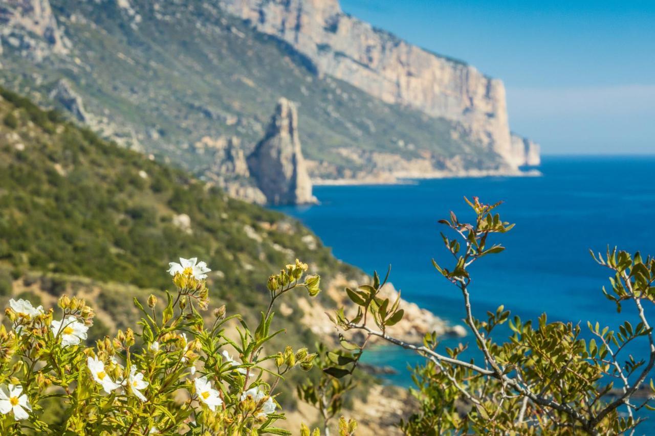 Ostello Bellavista Santa Maria Navarrese Dış mekan fotoğraf