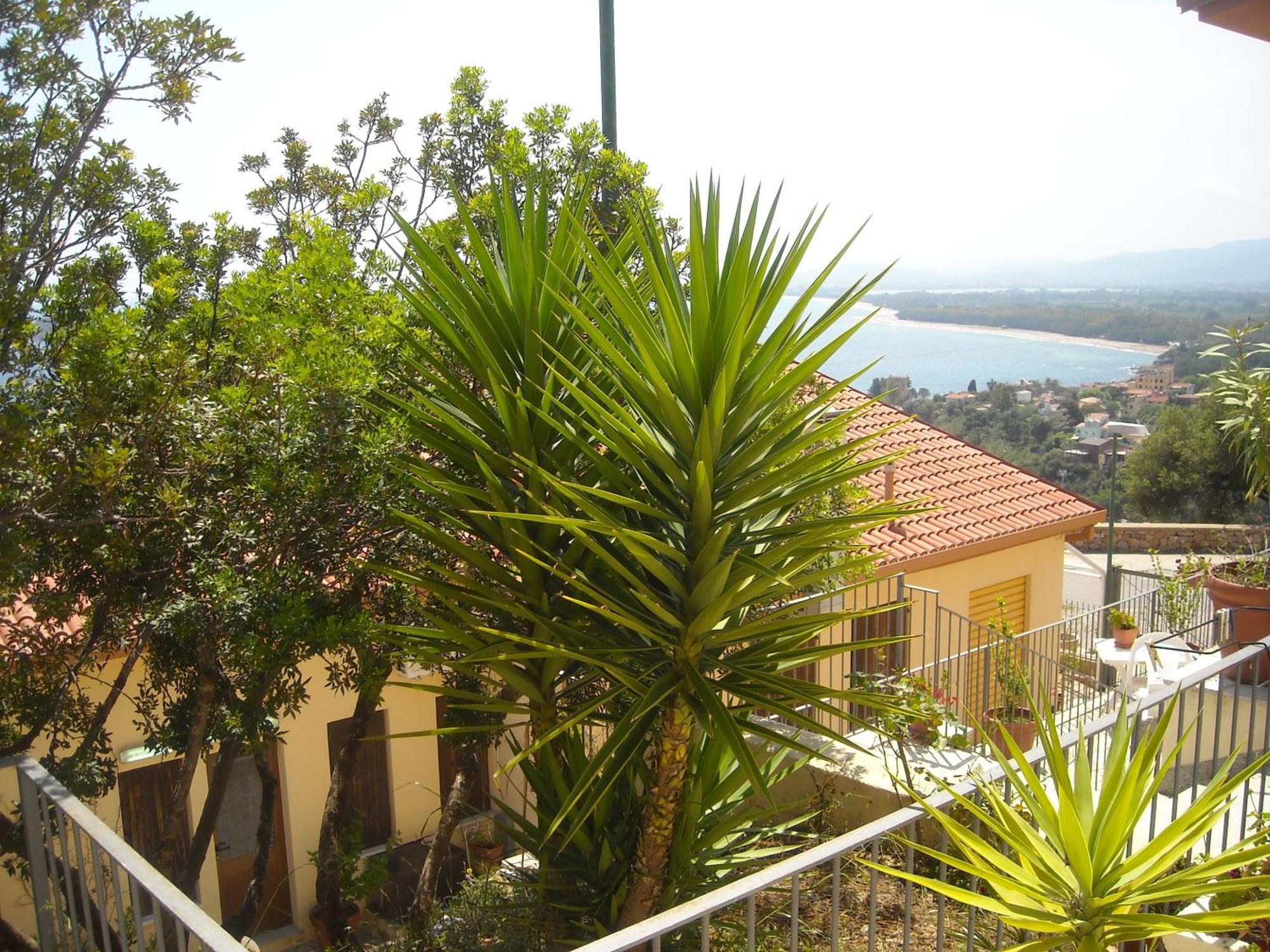 Ostello Bellavista Santa Maria Navarrese Dış mekan fotoğraf
