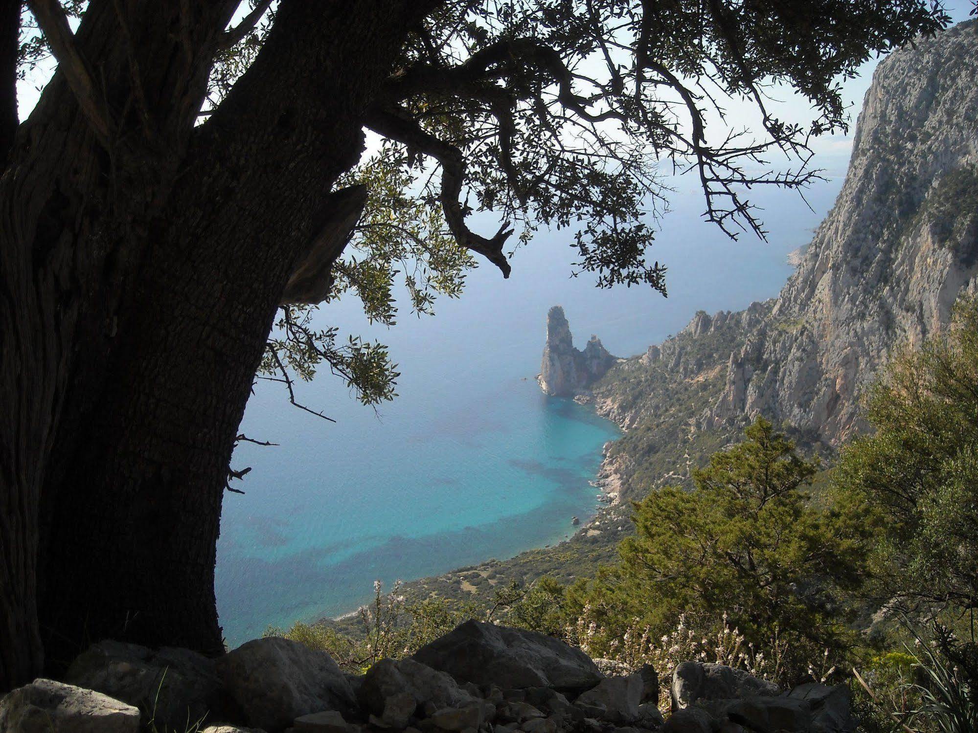 Ostello Bellavista Santa Maria Navarrese Dış mekan fotoğraf